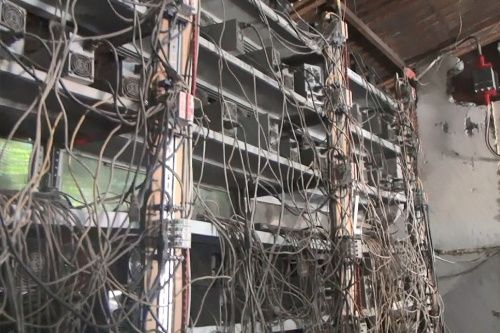    Фото: Россети Новосибирск