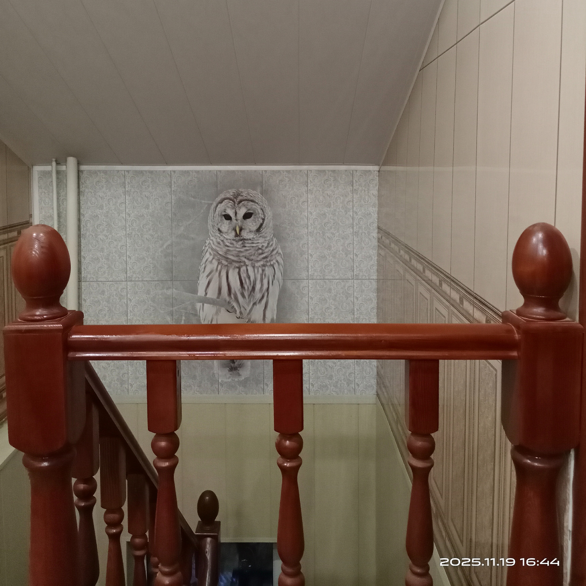 Я смотрю на происходящее, как на жизненный процесс, в котором может случиться всё что угодно.