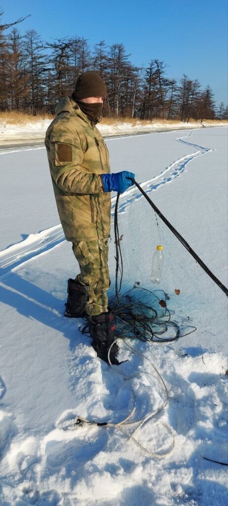    Фото: Telegram-канал «Сахалино-Курильское ТУ Росрыболовства» Наталья Краснова