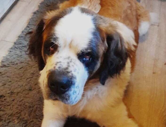 Проша знает то, что нам не расскажет