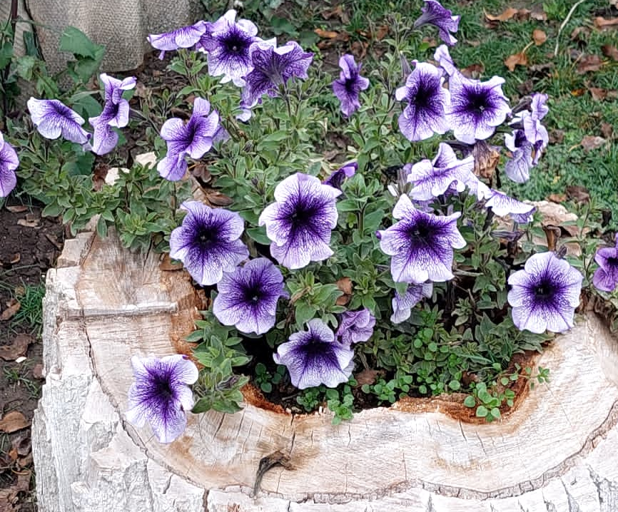    Фото редакции "СВ" Марина Ецкова