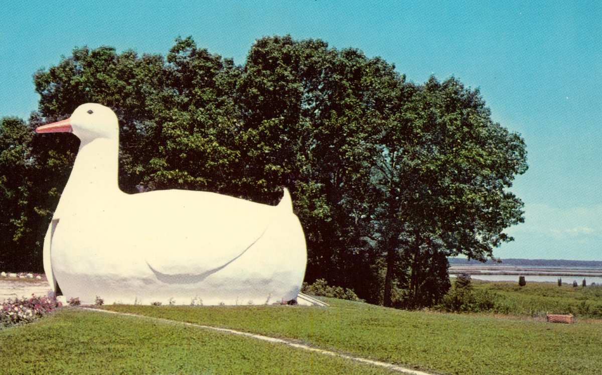 «Лонг-айлендский утенок», давший название типу зданий-«уток»