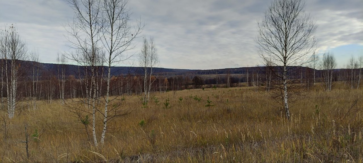 Ноябрь. Фото автора