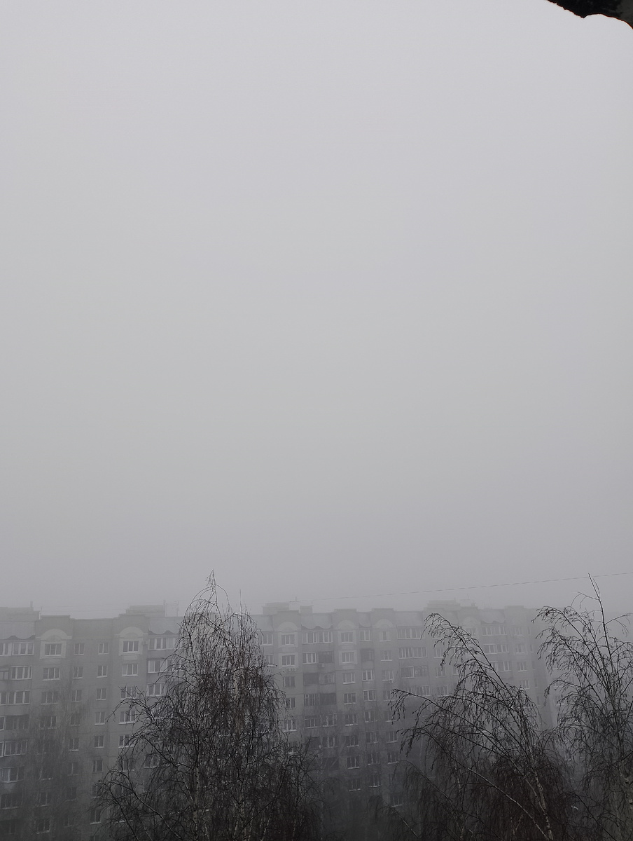 личное фото.