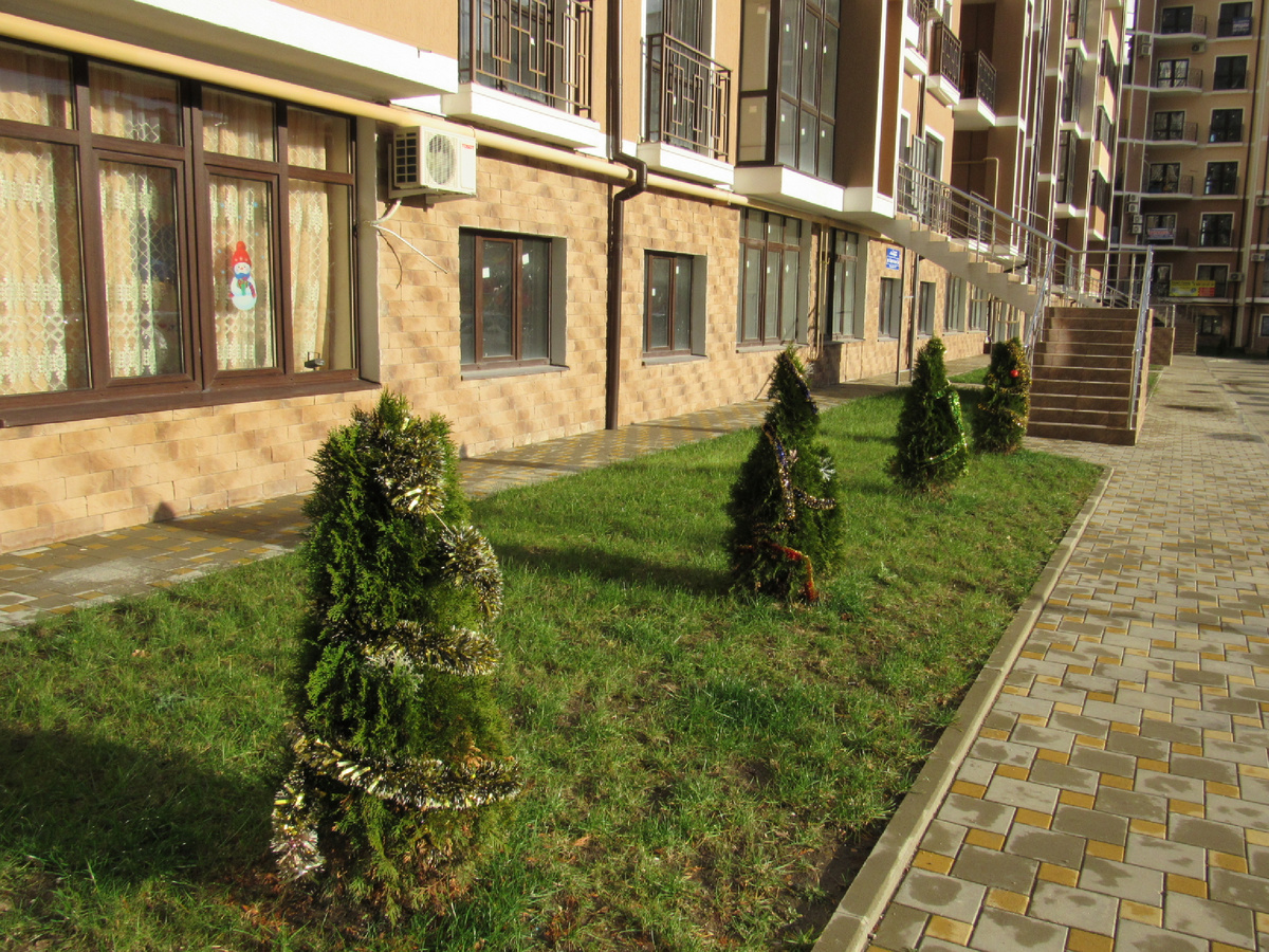 Новогодние туи в Геленджике 😊