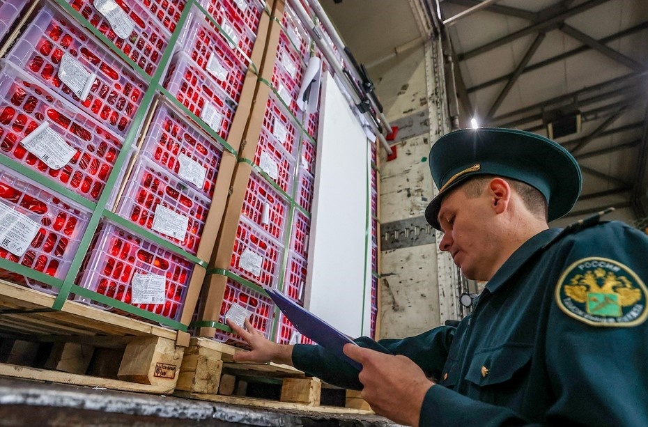 Автор фото: ТАСС