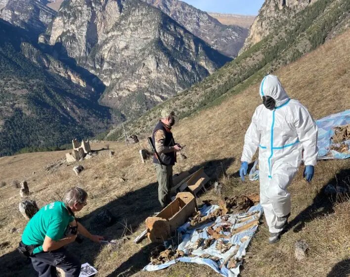     © Пресс-служба школы каменщиков-реставраторов "Наследие" Ингушетии. Фатима Нальгиева