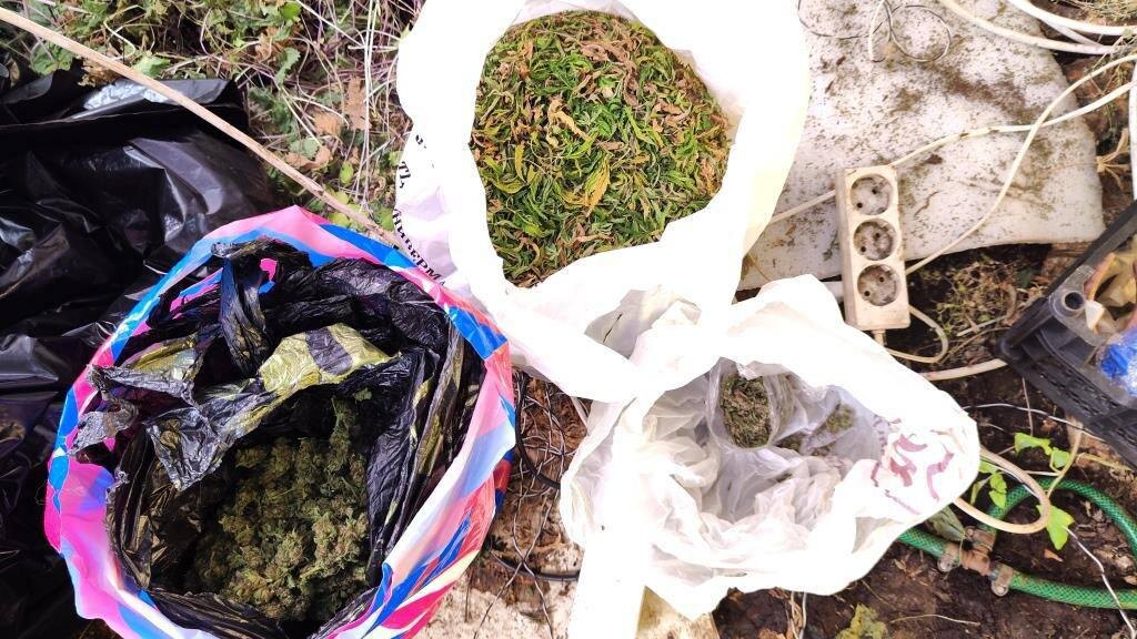    Фото: t.me/mvdszfo