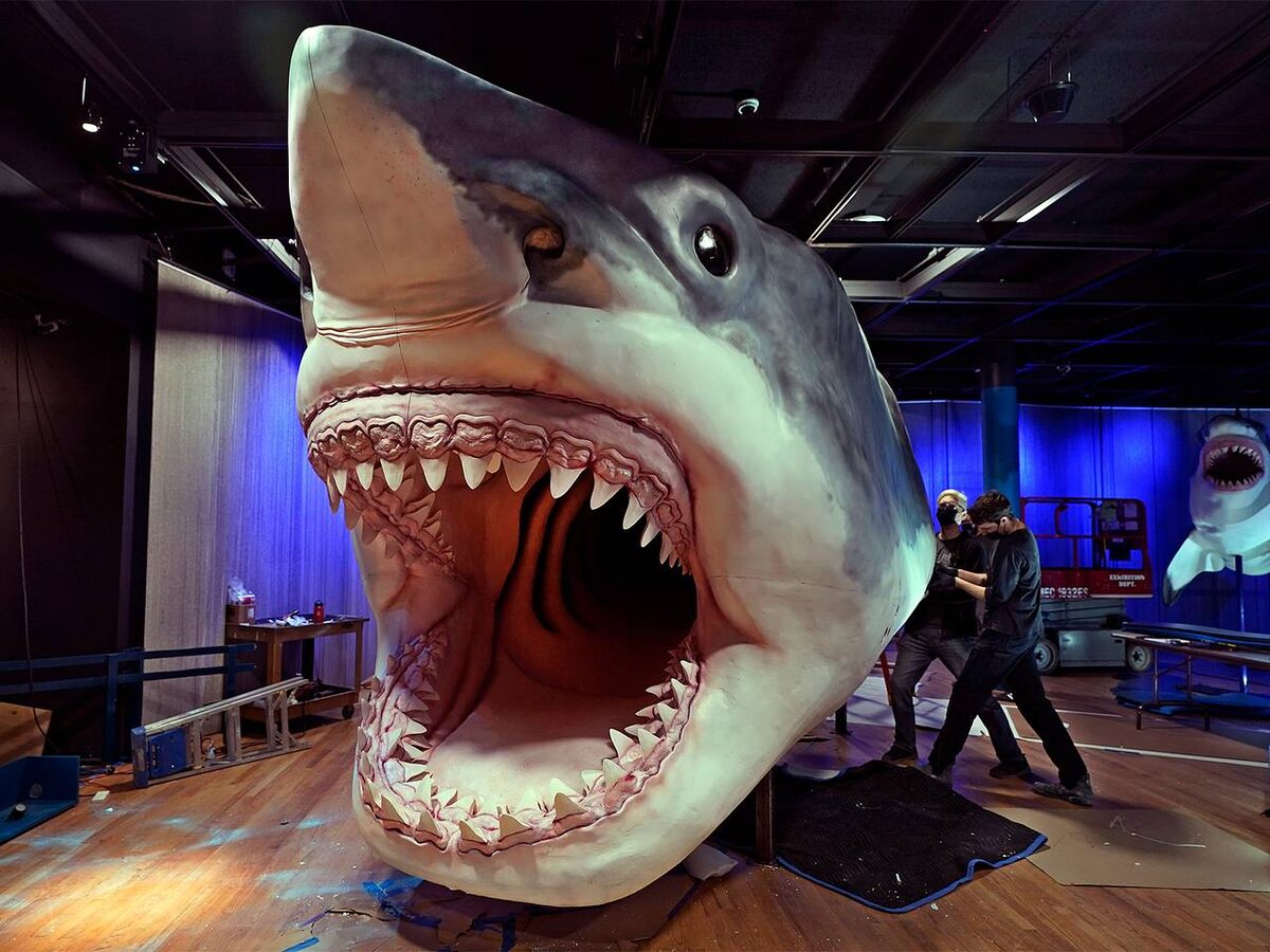 Встреча, которой лучше не случаться: масштаб мегалодона поражает воображение.