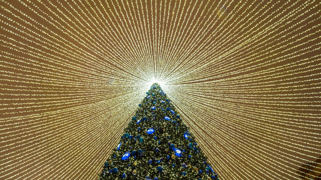    Фото: Konstantin Kokoshkin /Globallookpress