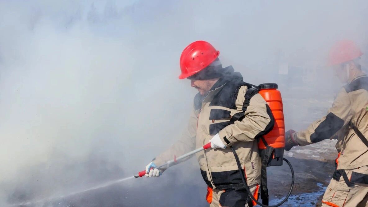    Фото: Василий Петров / «Ямал-Медиа»