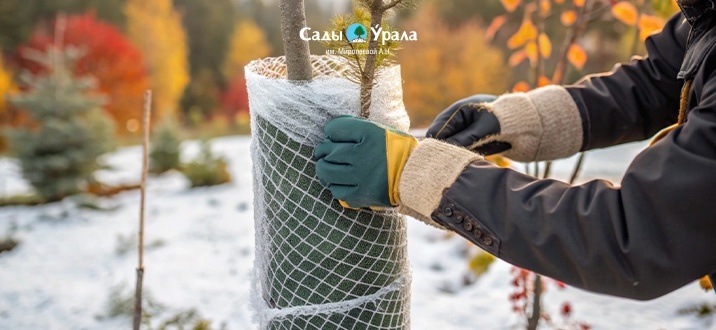 Зима близко! Защитим наши сады от голодных грызунов!