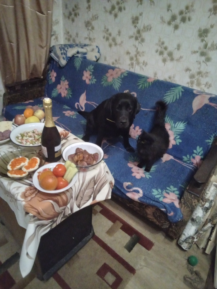 Фото автора. 