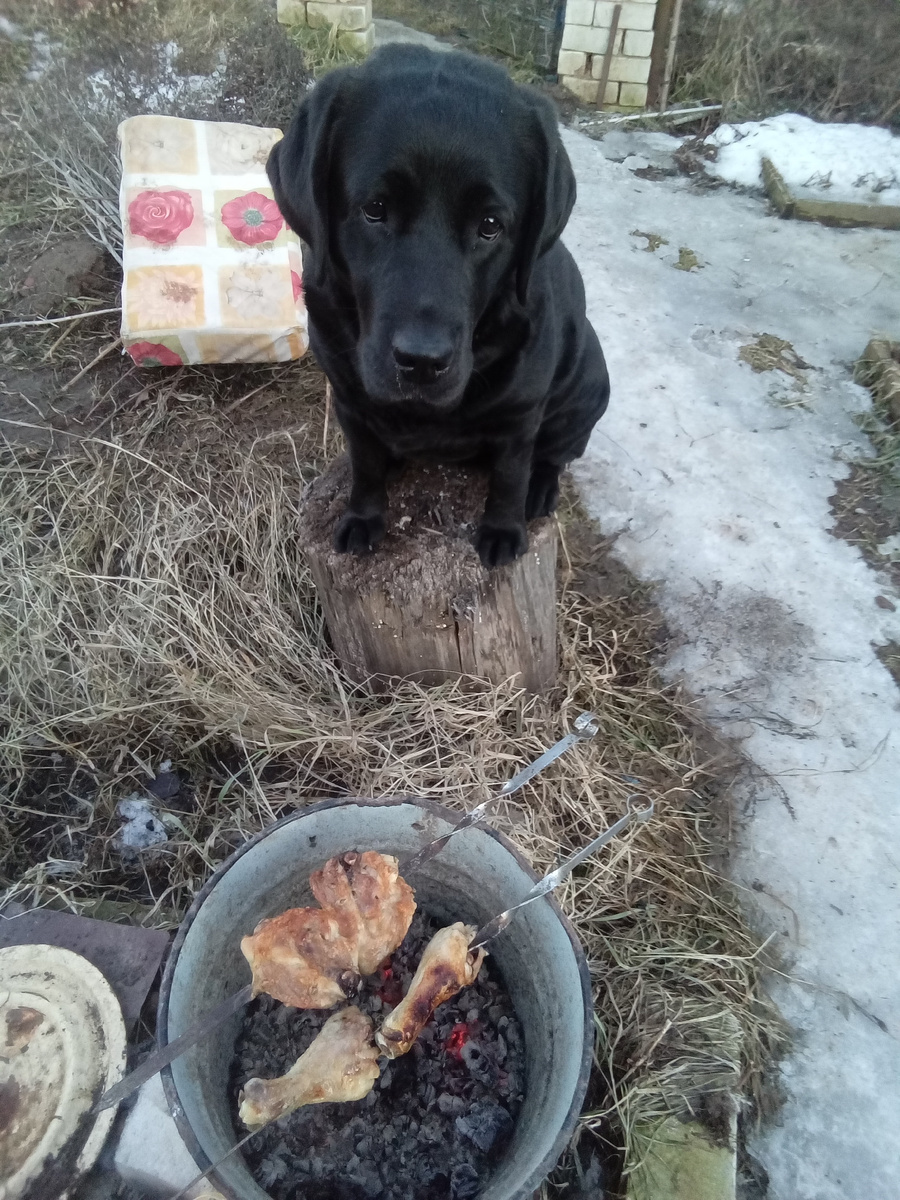 Фото автора. 