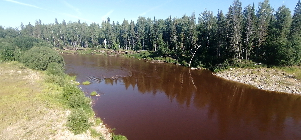 Река Пелым в Свердловской области (Фото: Nixe (Bearna Team))