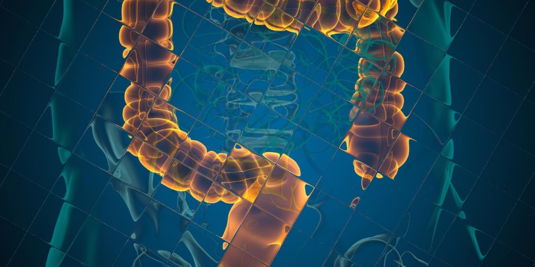 Неизведанный континент внутри нас: что на самом деле значат наши проблемы с желудком и кишечником