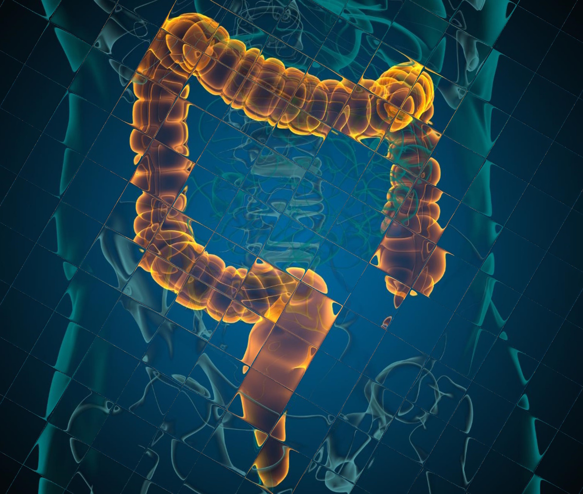Мы привыкли списывать дискомфорт в животе на «что-то не то съел». Но гастроэнтерология открывает удивительные вещи: наши пищевые привычки, стресс и даже детские переживания буквально скальпируют наш желудок и кишечник. Узнайте, как начать диалог с собственным организмом.