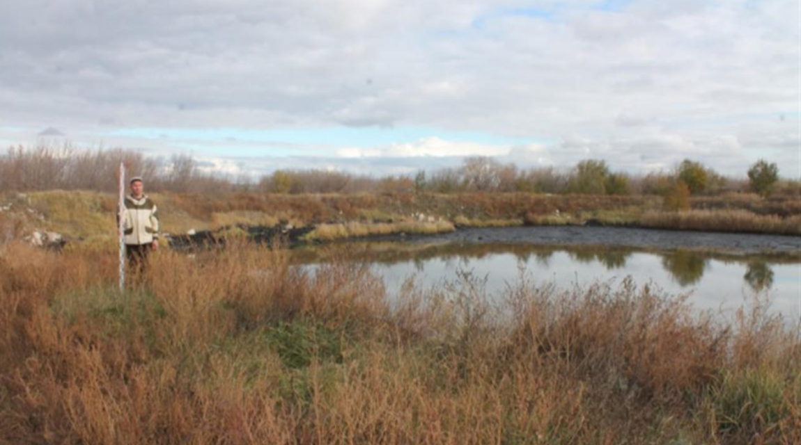    Фото: ГИООКН Самарской области