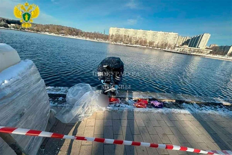 Преступление в Балашихе возмутило общественность. Фото: Прокуратура Москвы