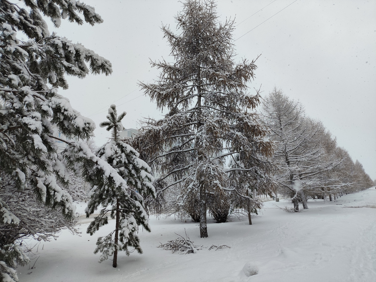 После сегодняшнего снегопада