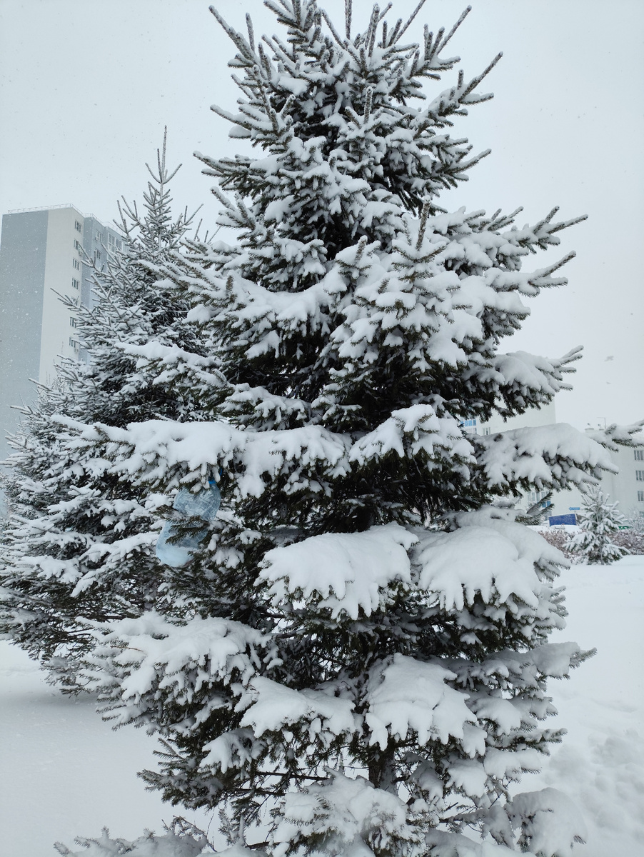 Ну красота ведь, правда?