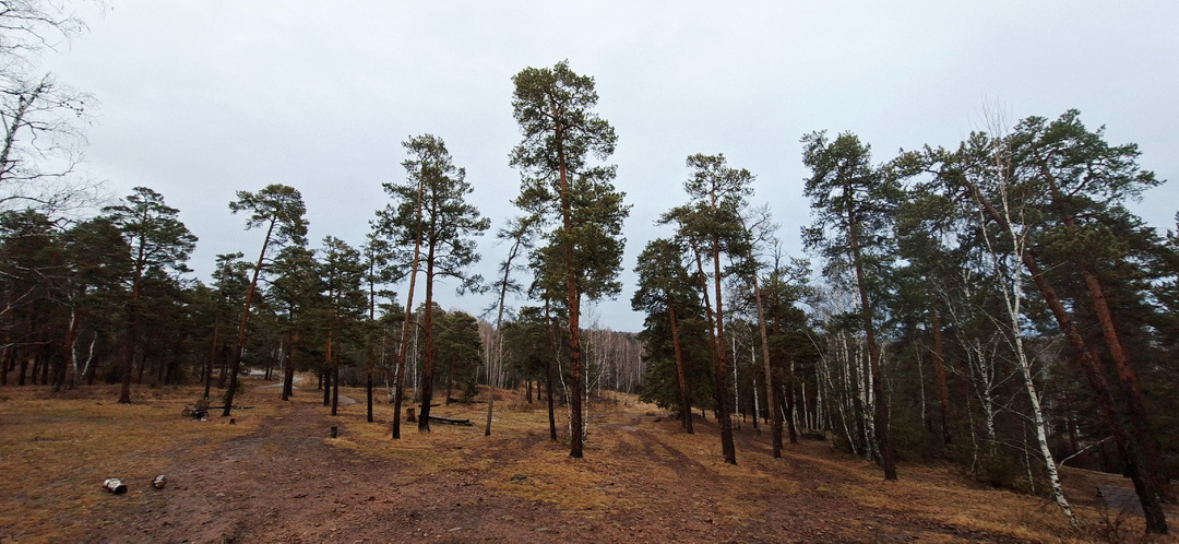 День 31-32. Отчет за неделю: Вес прибавился, а я — радуюсь!