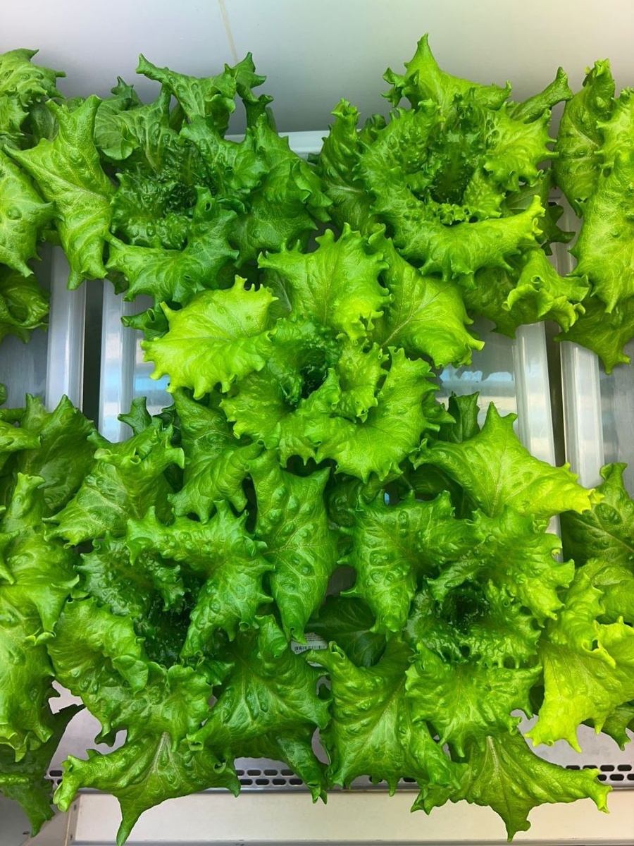    Фото: Газета Прионежье