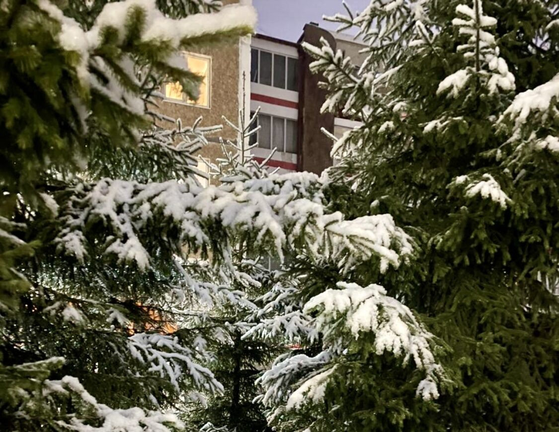 У нас красота!