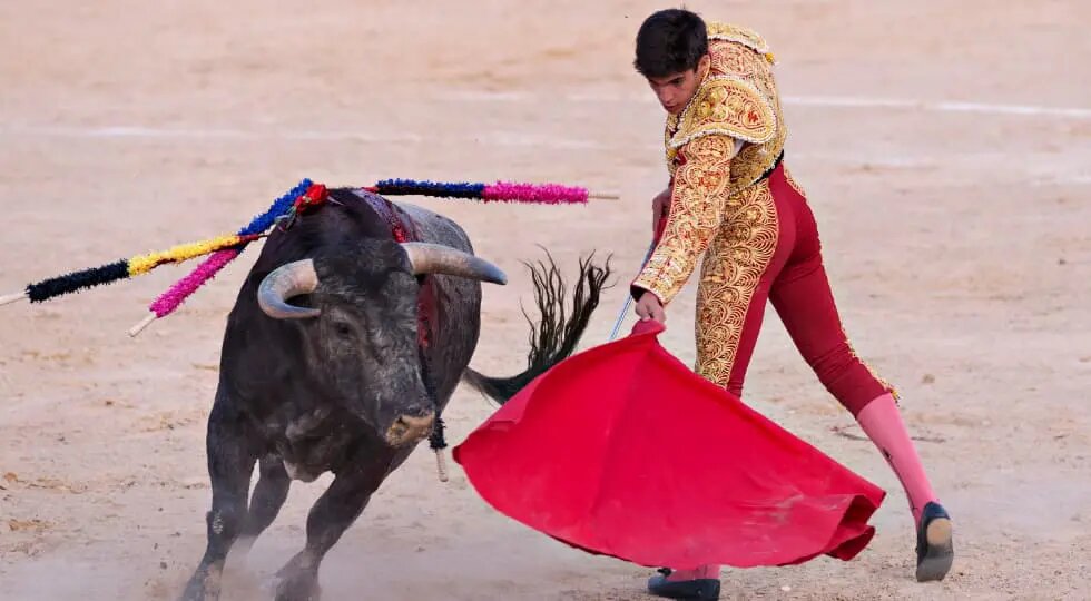 Для быка красный плащ выглядит просто как скучная серая тряпка.