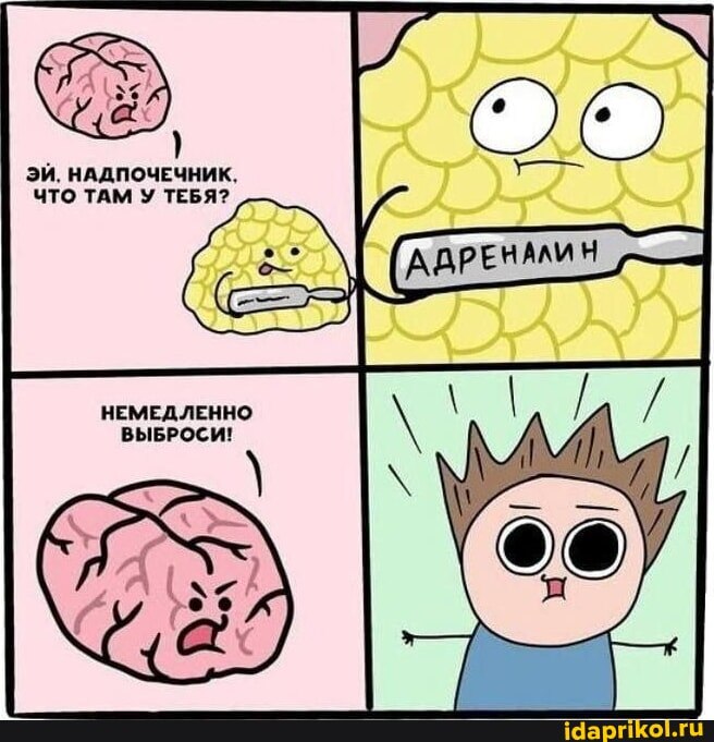 Адреналиновое образование 