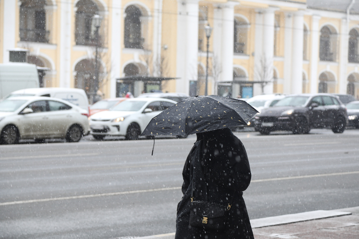 Роман Пименов / «Петербургский дневник»
