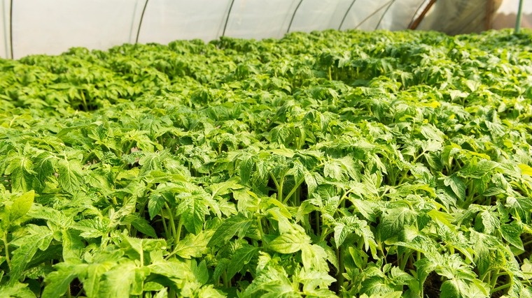 Результат моих старых ошибок