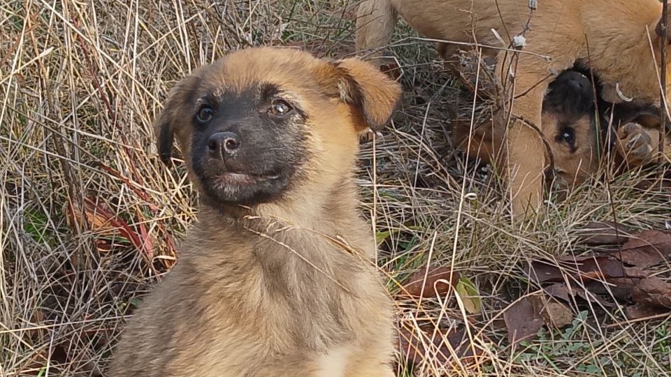 ОСТАТЬСЯ ЧЕЛОВЕКОМ