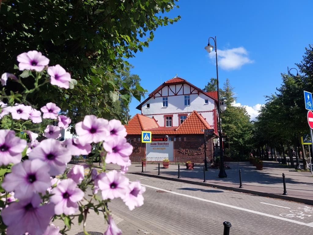 Кто-то: О, какие замечательные цветочки! 