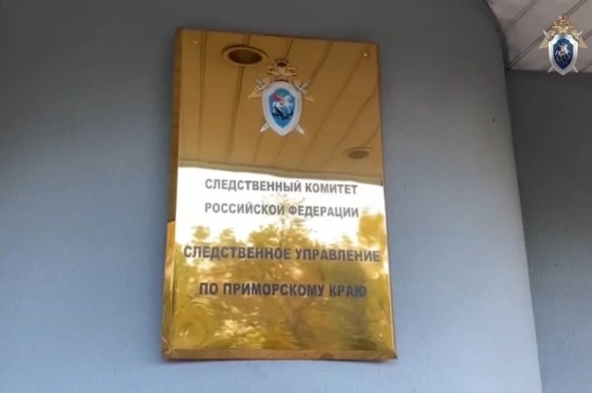    Женщина в Приморье попыталась зарезать своего трёхлетнего сына