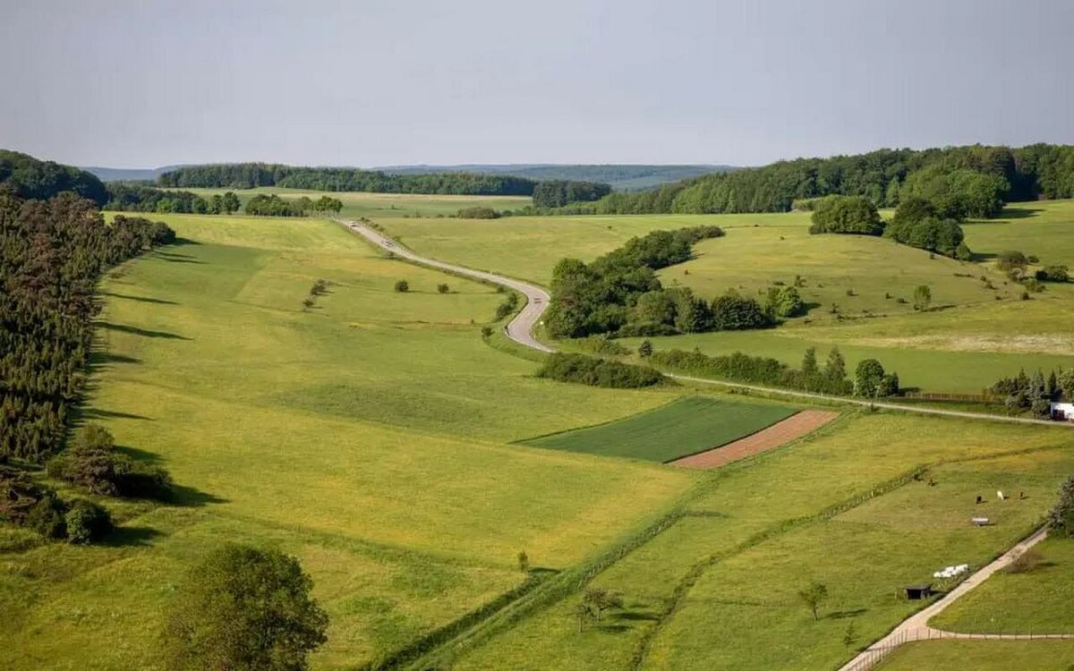    Экс-главу сельсовета в Липецкой области будут судить за продажу 300 га земли по заниженной цене Фото – ru.freepik.com