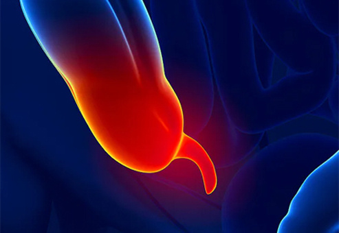 Изображение из свободного доступа