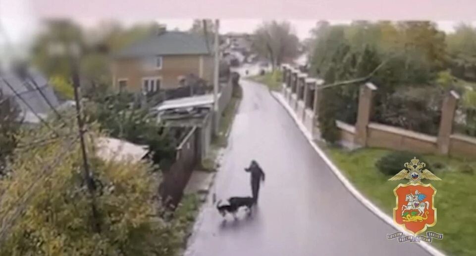    Пресс-служба МВД