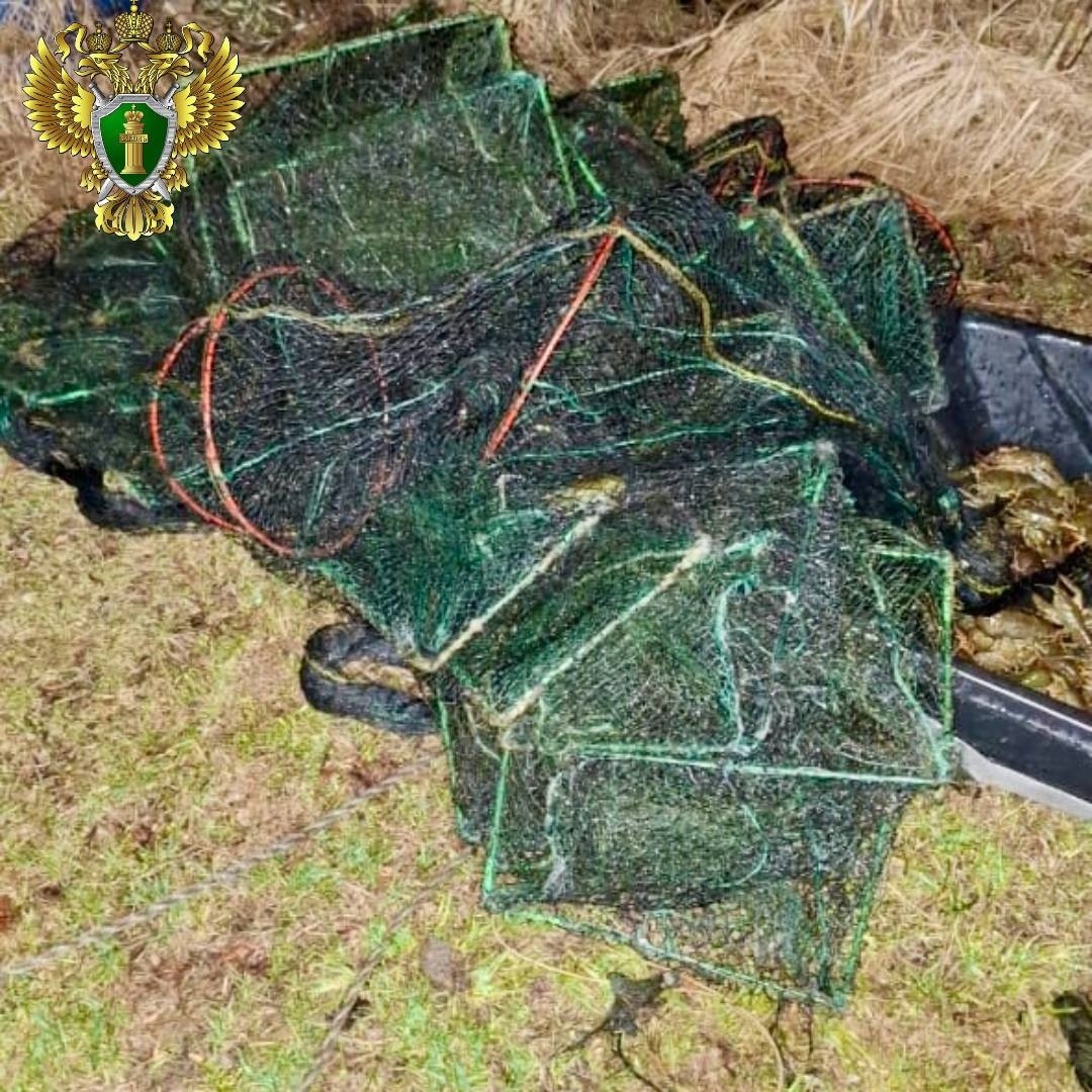 Раколовки, которые изъчяли у мужчины