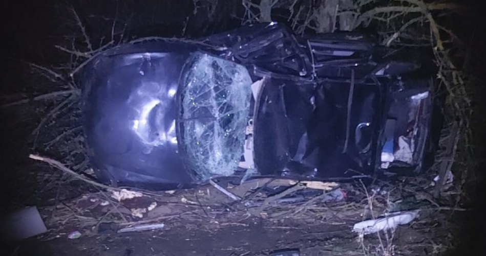     Фото: управление МВД