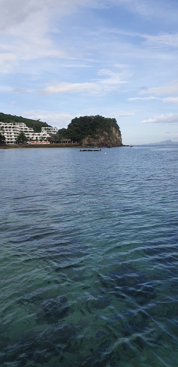 Филиппинские виды.