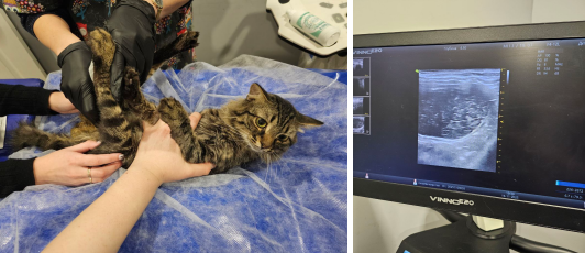 На приеме у врача