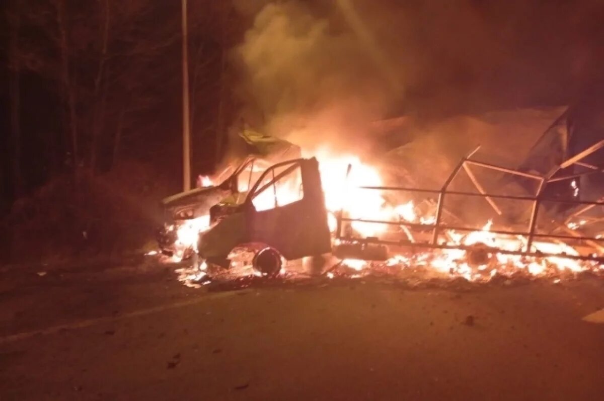    В Пензенской области «Газель» столкнулась с «ГАЗ Некст», погибли водители