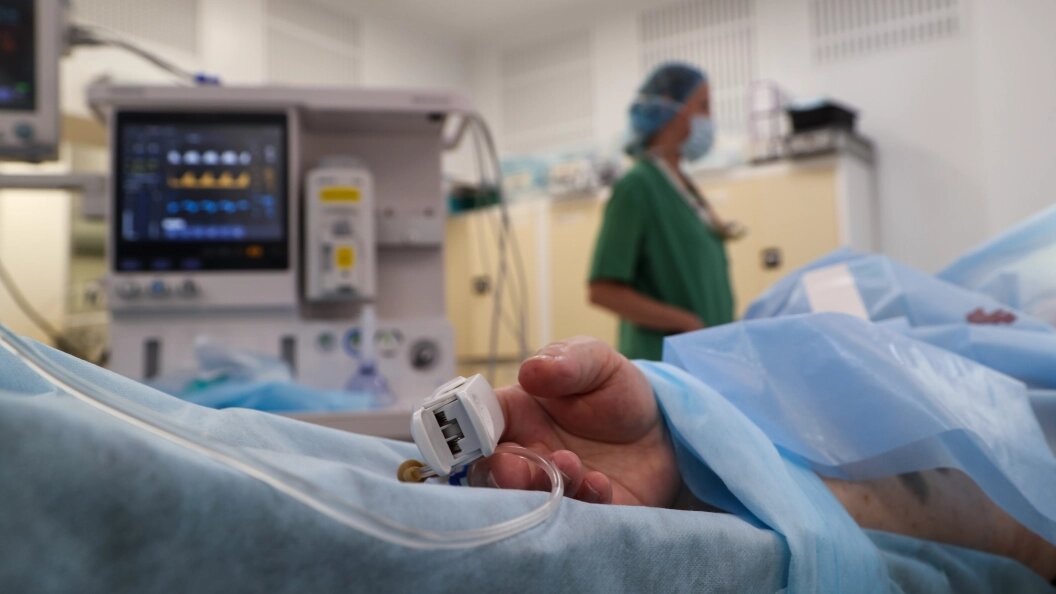    Belkin Alexey/Globallookpress