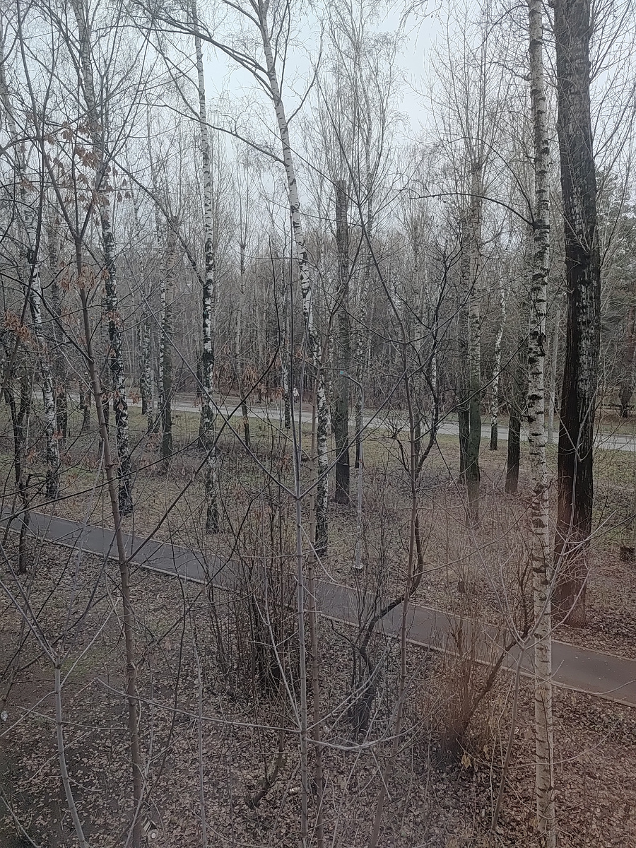 Сейчас за окном