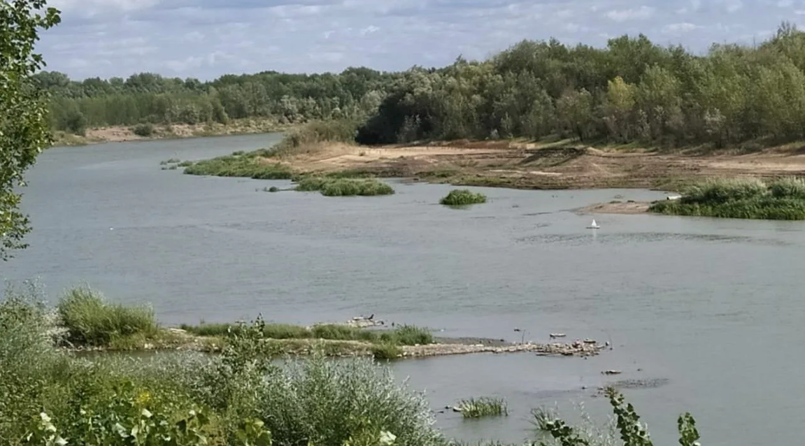 Фото из общего доступа в интернете