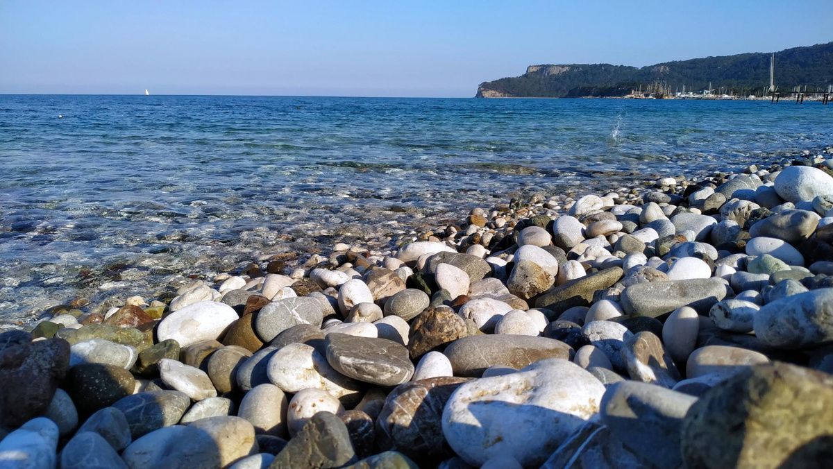 Фото: freepik.com  📷
