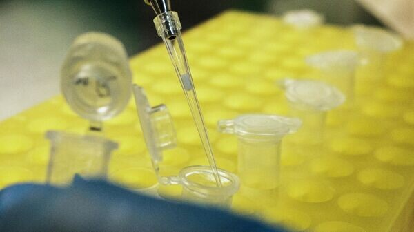    © РИА Новости . Илья Питалев