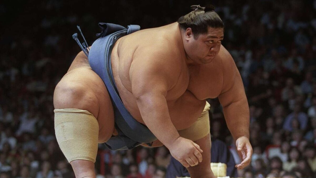 Сумоист весом под 300 килограмм.