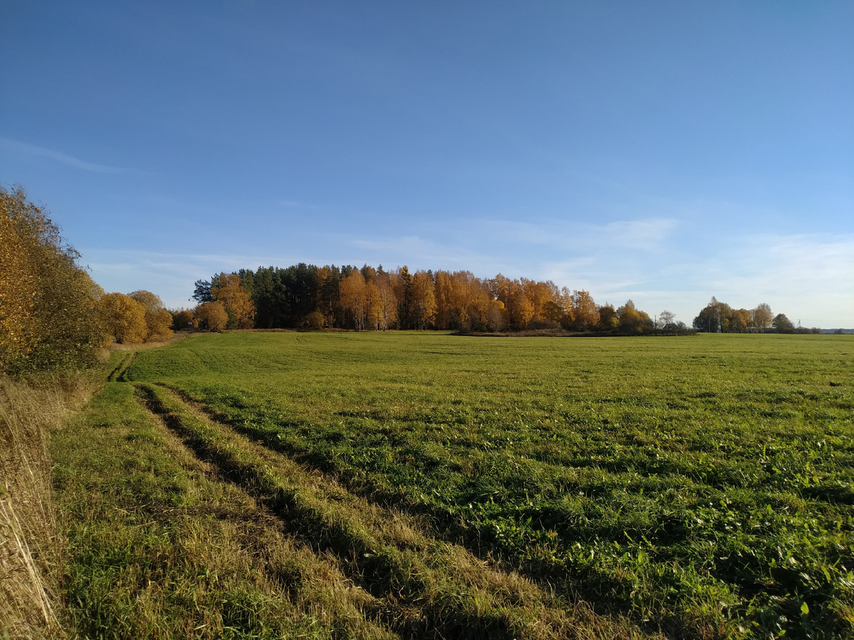 Фото Алексея Сапогова